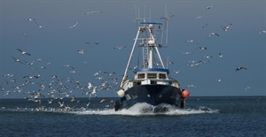 Pesca, Confcooperative Fedagripesca: “Sostegno alla linea...